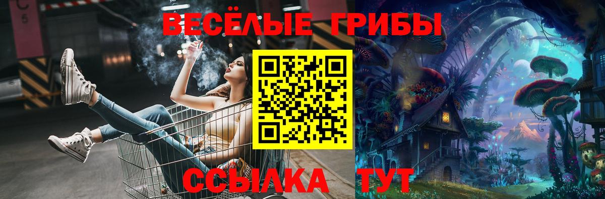 Майкоп  Псилоцибиновые грибы прущие грибы  продажа наркотиков  Вход с VPN 