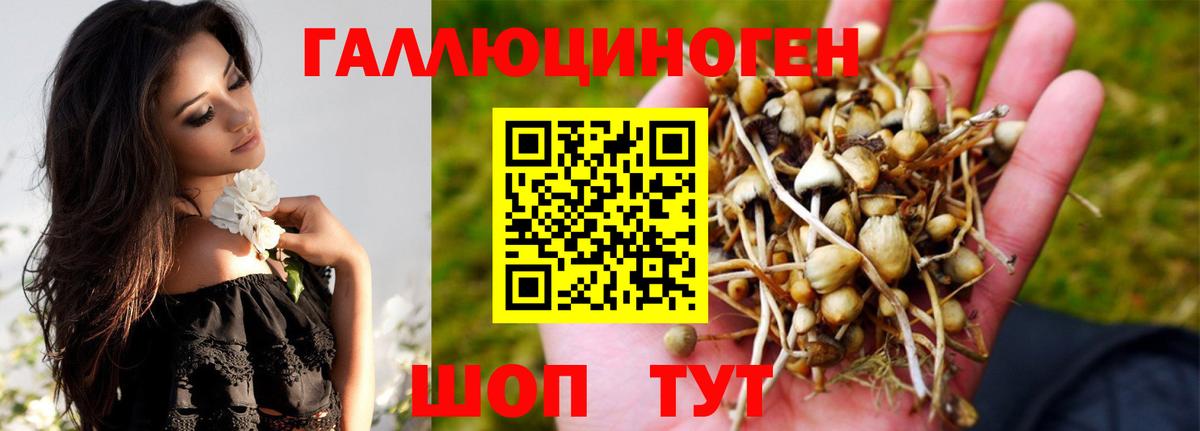 Псилоцибиновые грибы MAGIC MUSHROOMS Майкоп