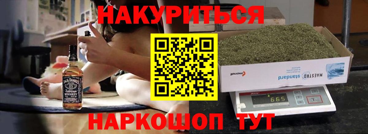 Каннабис сатива Майкоп